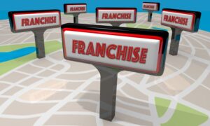 Geographic Enterprises online franchise territory mapping